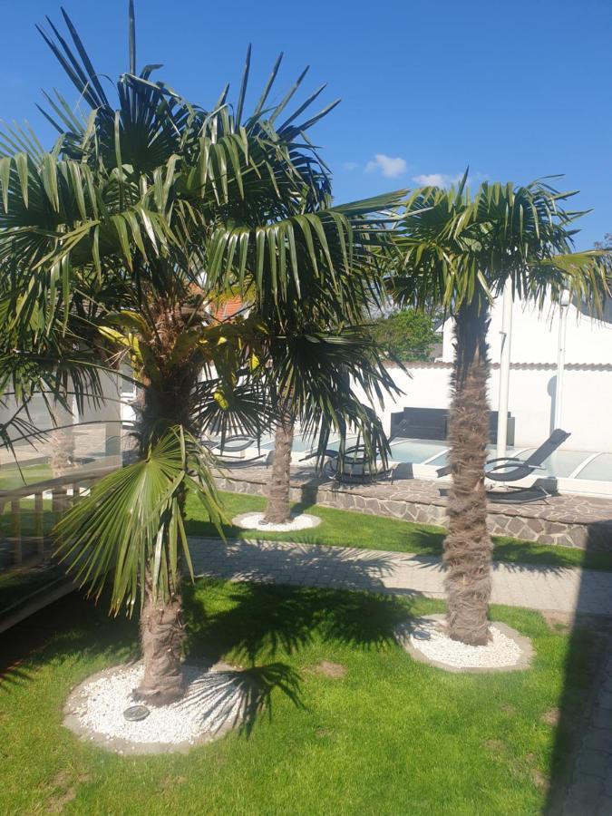 Ferienhaus Apetlon Eksteriør billede